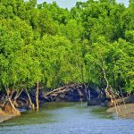 সুন্দরবন ভ্রমন – [Sundarban Tour]