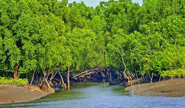 সুন্দরবন ভ্রমন – [Sundarban Tour]