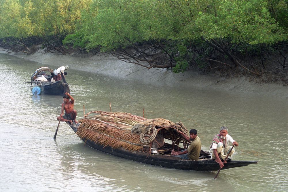 সুন্দরবন ভ্রমণ প্যাকেজ – [Sundarban Tour Package]