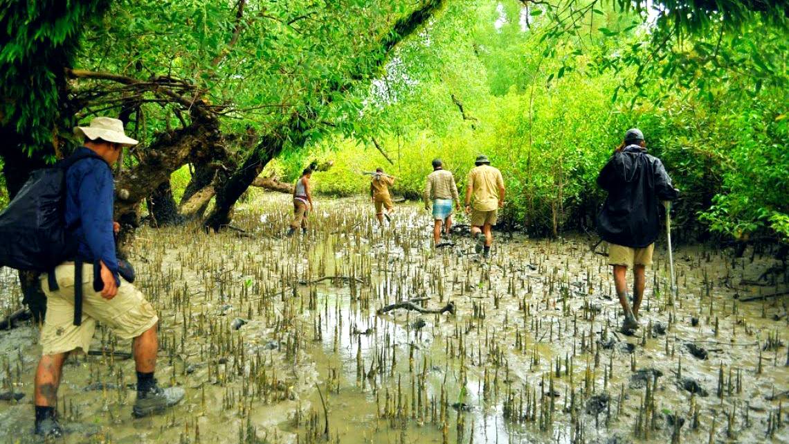 কম খরচে সুন্দরবন ভ্রমণ – [Sundarbans tour at low cost]