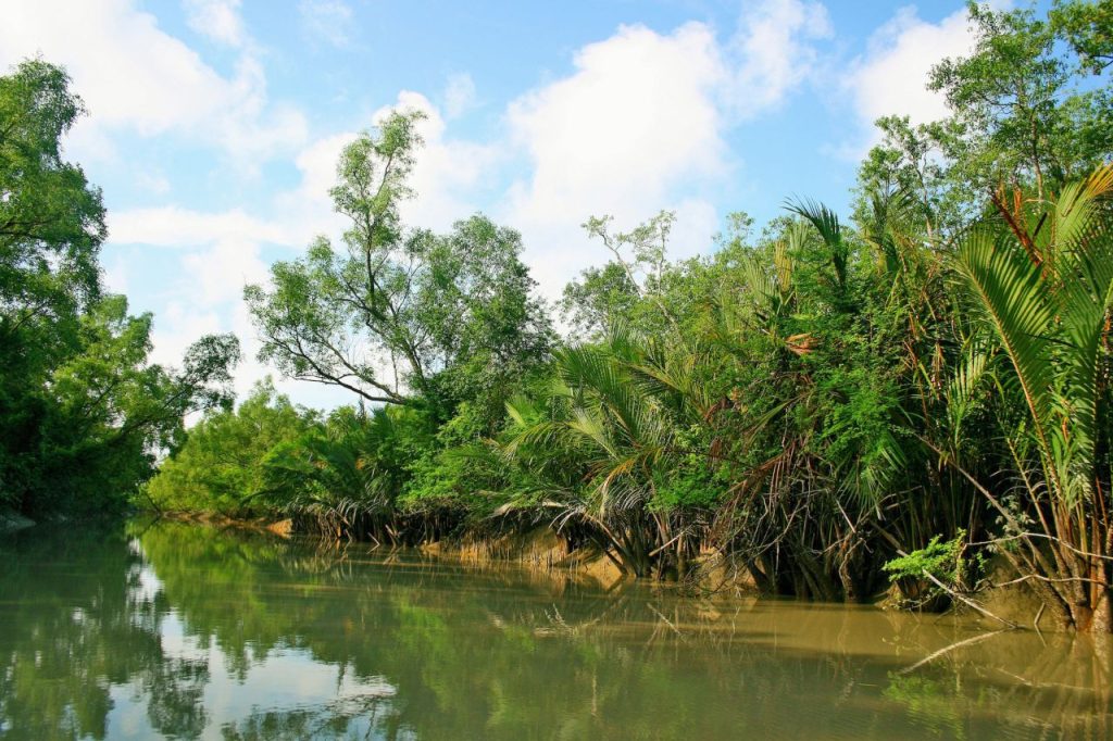 সুন্দরবন ভ্রমণ যাওয়ার আগে গুরুত্বপূর্ণ ১০টি তথ্য – [10 important fact before traveling to sundarbans]