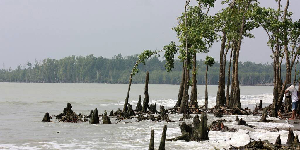 কটকা সমুদ্র সৈকত – (Kotka Sea Beach)