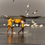 দুবলার চর – [Dublar Char]