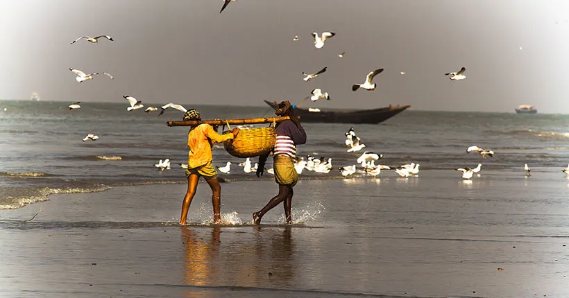 দুবলার চর – [Dublar Char]