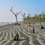 মান্দারবাড়িয়া সমুদ্র সৈকত – (Mandarbaria Sea Beach)