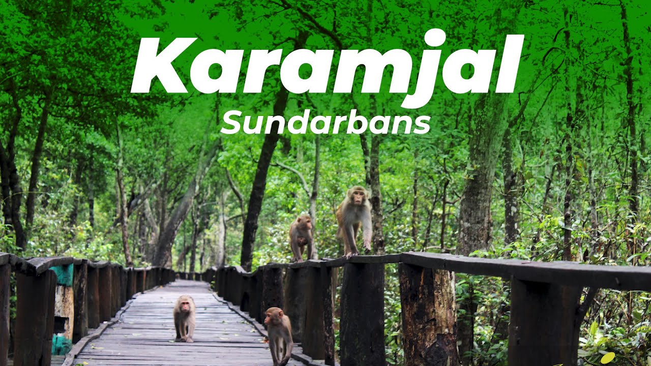 Karamjal Point in Sundarban