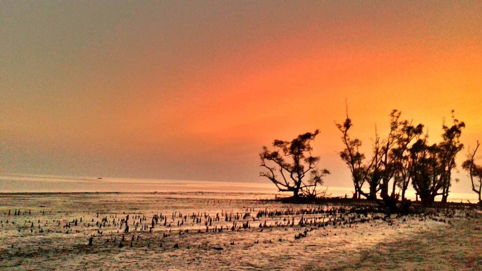 Kotka Sea Beach in Sundarban