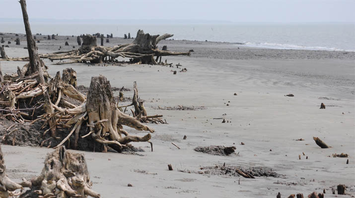 Kochikhali Sea Beach in Sundarban