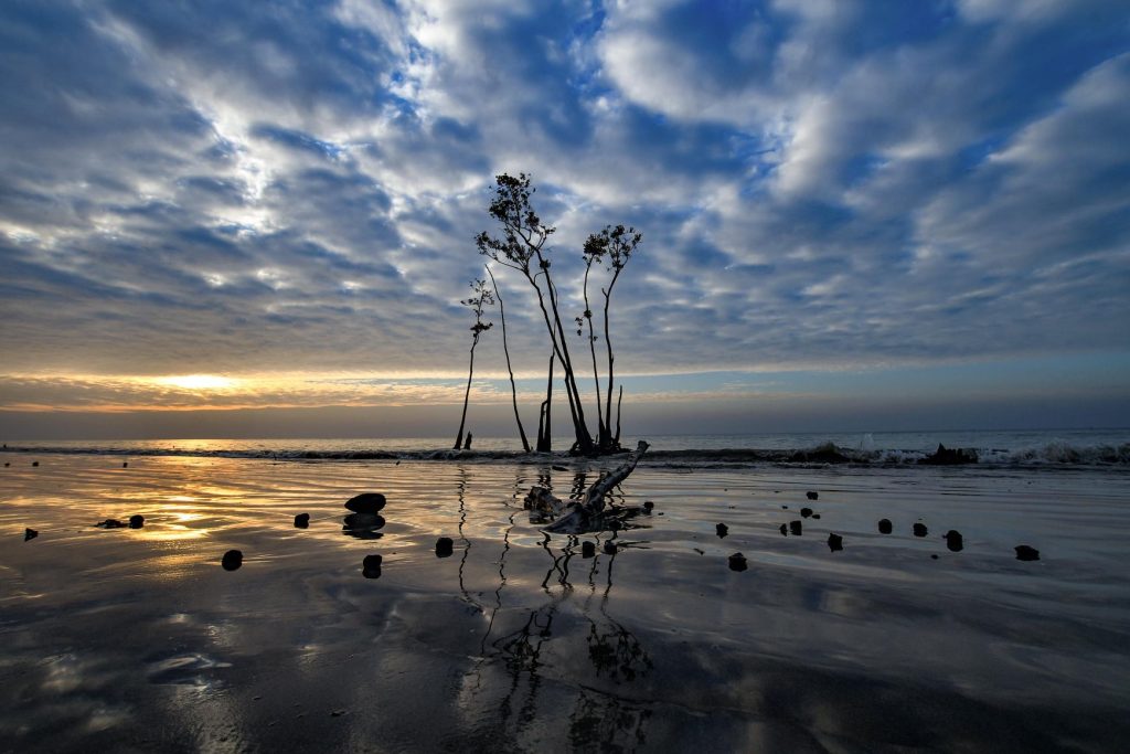জামতলা সমুদ্র সৈকত – (Jamtola Sea Beach)