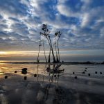 জামতলা সমুদ্র সৈকত – (Jamtola Sea Beach)