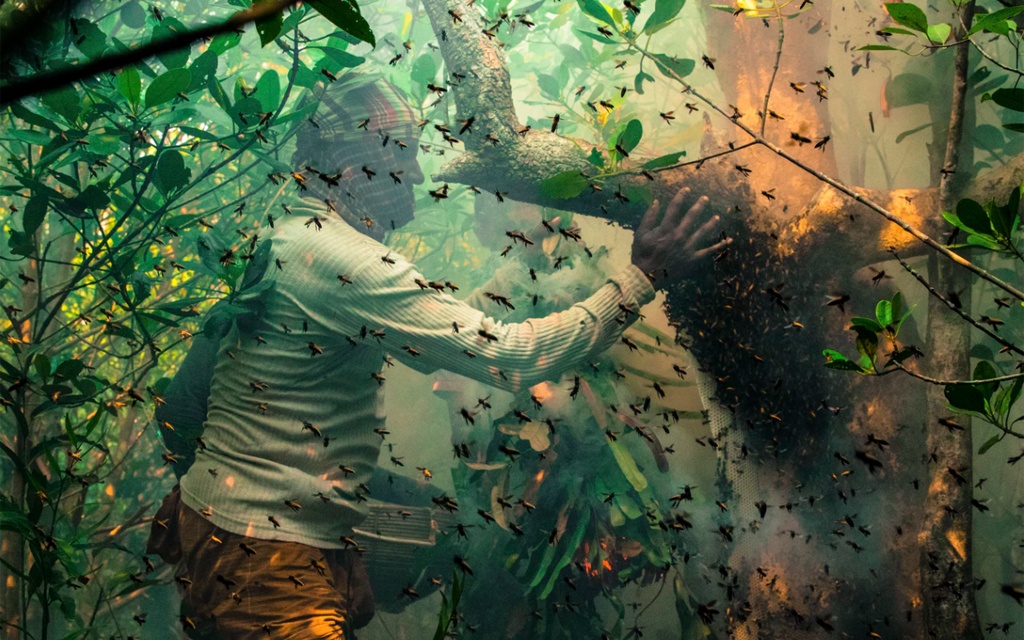 সুন্দরবনের মধু – Sundarbans Honey