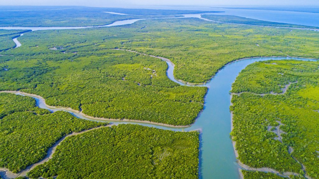 SUNDARBAN Luxury Cruise Ship Tour Package for Foreign Tourist
