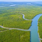 SUNDARBAN Luxury Cruise Ship Tour Package for Foreign Tourist