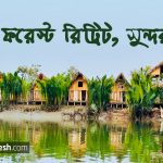 দ্যা ফরেস্ট রিট্রিট – [The Forest Retreat, Sundarban]